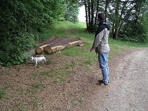 Foto:: Reisen / Bayerischer Wald / 2006 (Foto,Fotos,Bilder,Bild,)