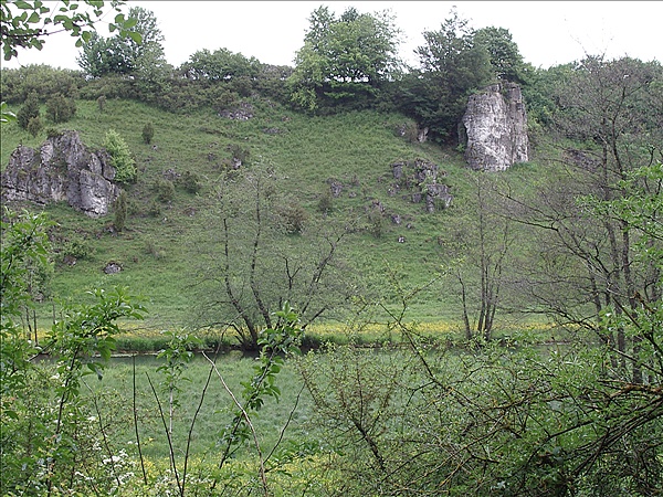 Foto:: Reisen / Bayerischer Wald / 2006 (Foto,Fotos,Bilder,Bild,)
