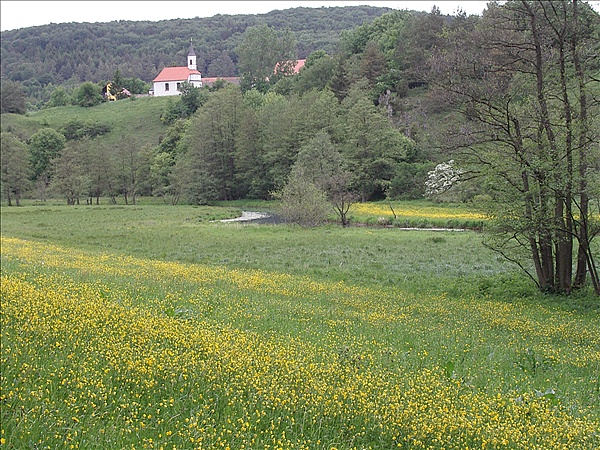 Foto:: Reisen / Bayerischer Wald / 2006 (Foto,Fotos,Bilder,Bild,)