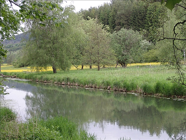 Foto:: Reisen / Bayerischer Wald / 2006 (Foto,Fotos,Bilder,Bild,)