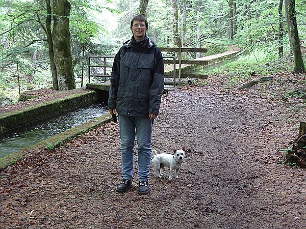 Foto:: Reisen / Bayerischer Wald / 2006 (Foto,Fotos,Bilder,Bild,)