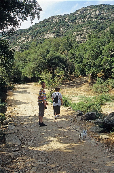 Foto:: Reisen / Suedfrankreich / 2006 (Foto,Fotos,Bilder,Bild,)