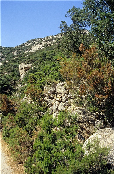 Foto:: Reisen / Suedfrankreich / 2006 (Foto,Fotos,Bilder,Bild,)
