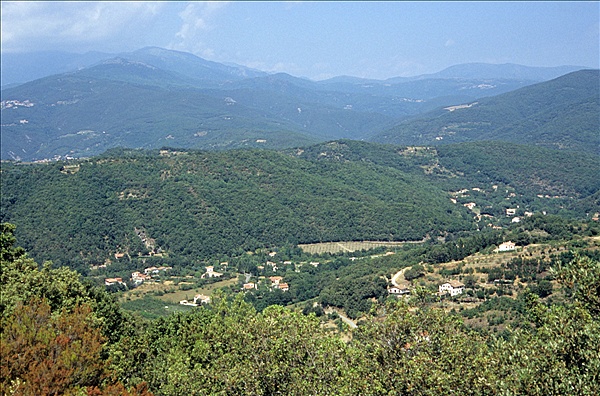 Foto:: Reisen / Suedfrankreich / 2006 (Foto,Fotos,Bilder,Bild,)