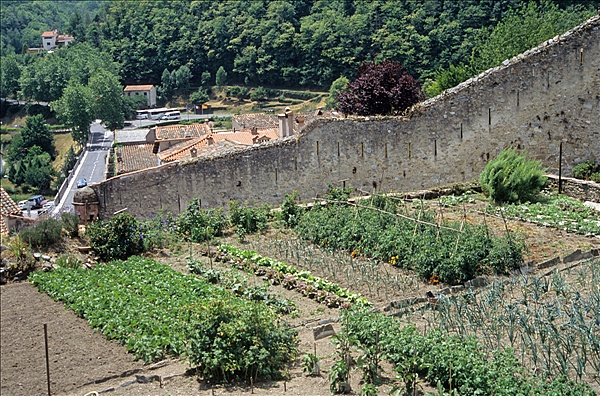 Foto:: Reisen / Suedfrankreich / 2006 (Foto,Fotos,Bilder,Bild,)