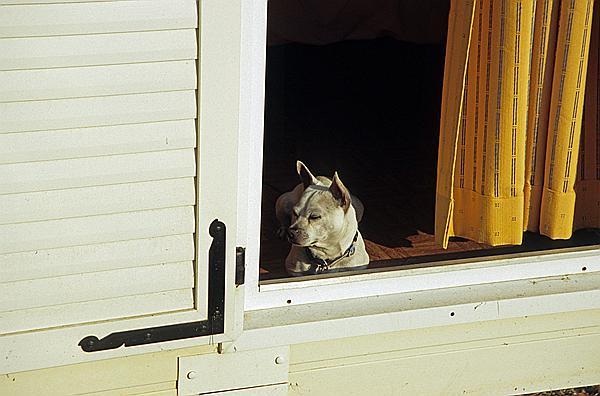 Foto:: Reisen / Suedfrankreich / 2006 (Foto,Fotos,Bilder,Bild,)