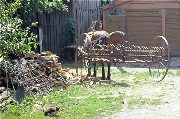 Foto:: Reisen / Litauen / Sommer 2006 (Foto,Fotos,Bilder,Bild,)
