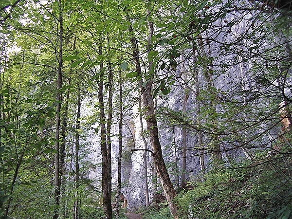 Foto:: Urlaub / Bad Goisern / 01.10.2006 - 05.10.2006 (Foto,Fotos,Bilder,Bild,)