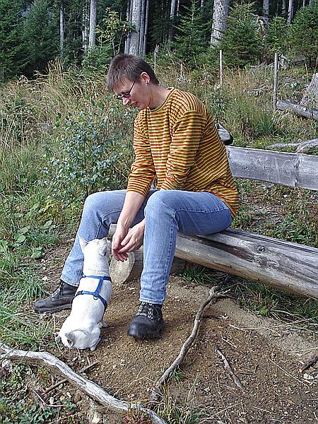 Foto:: Urlaub / Bad Goisern / 01.10.2006 - 05.10.2006 (Foto,Fotos,Bilder,Bild,)