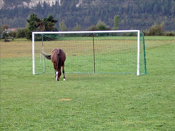 Foto:: Urlaub / Bad Goisern / 01.10.2006 - 05.10.2006 (Foto,Fotos,Bilder,Bild,)