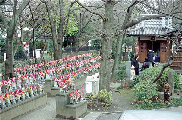 Foto:: Reisen / Japan 08.01 - 20.01.2007 (Foto,Fotos,Bilder,Bild,)