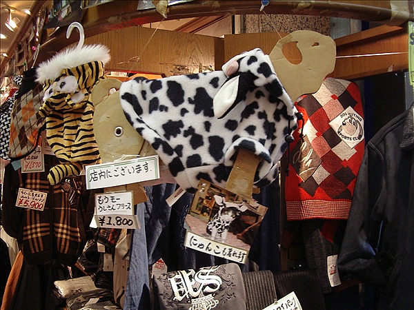Foto:: Reisen / Japan 08.01 - 20.01.2007 (Foto,Fotos,Bilder,Bild,)