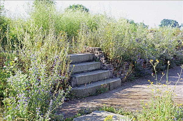 Foto:: Altstadt / Kostrzyn / 14.07.2007 (Foto,Fotos,Bilder,Bild,)