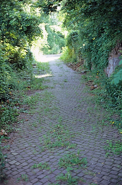 Foto:: Altstadt / Kostrzyn / 14.07.2007 (Foto,Fotos,Bilder,Bild,)