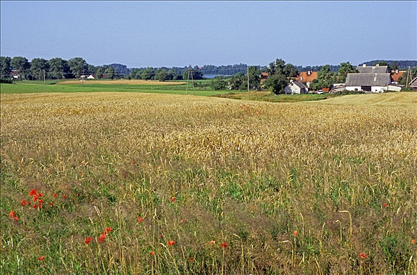 Foto:: Reisen / Polen / Sommer 2007 (Foto,Fotos,Bilder,Bild,)