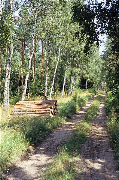 Foto:: Reisen / Polen / Sommer 2007 (Foto,Fotos,Bilder,Bild,)