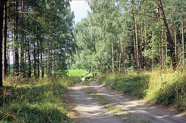 Foto:: Reisen / Polen / Sommer 2007 (Foto,Fotos,Bilder,Bild,)