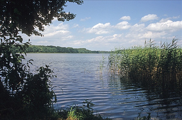Foto:: Reisen / Polen / Sommer 2007 (Foto,Fotos,Bilder,Bild,)