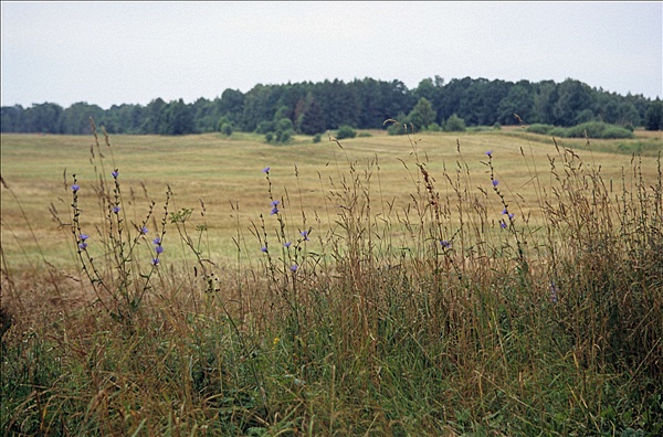 Foto:: Reisen / Polen / Sommer 2007 (Foto,Fotos,Bilder,Bild,)
