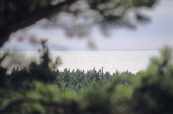 Foto:: Reisen / Litauen / Sommer 2007 (Foto,Fotos,Bilder,Bild,)
