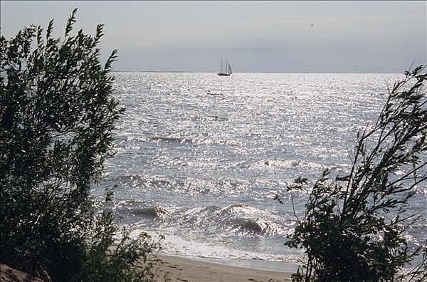 Foto:: Reisen / Litauen / Sommer 2007 (Foto,Fotos,Bilder,Bild,)