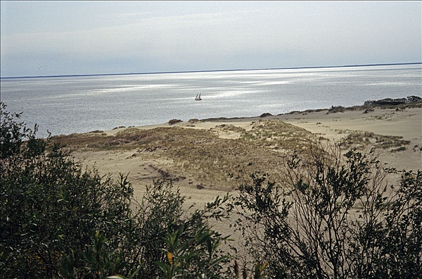 Foto:: Reisen / Litauen / Sommer 2007 (Foto,Fotos,Bilder,Bild,)