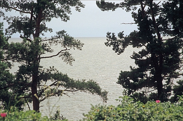 Foto:: Reisen / Litauen / Sommer 2007 (Foto,Fotos,Bilder,Bild,)