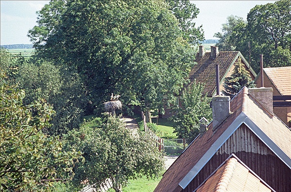 Foto:: Reisen / Litauen / Sommer 2007 (Foto,Fotos,Bilder,Bild,)