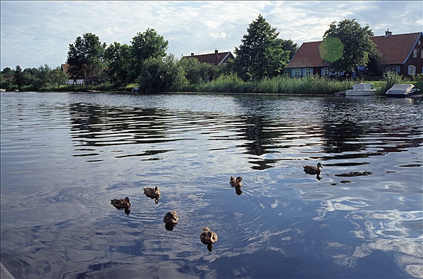 Foto:: Reisen / Litauen / Sommer 2007 (Foto,Fotos,Bilder,Bild,)