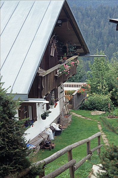 Foto:: Reisen / Bayerischer Wald / Sommer 2007 (Foto,Fotos,Bilder,Bild,)