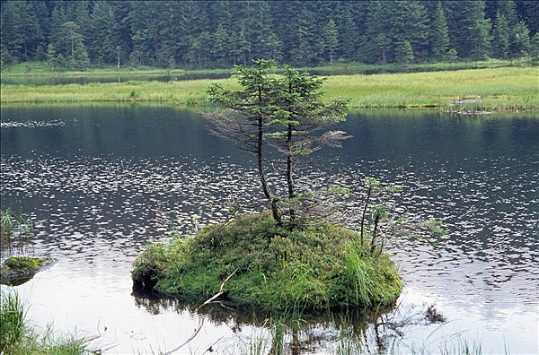Foto:: Reisen / Bayerischer Wald / Sommer 2007 (Foto,Fotos,Bilder,Bild,)