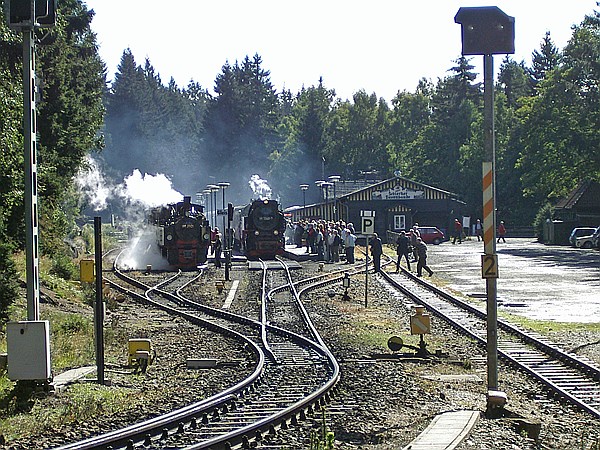 Foto:: DR 99 5901 + DR 99 5902 + DR 99 7240-7 / Schierke / 01.09.2007 (Foto,Fotos,Bilder,Bild,)