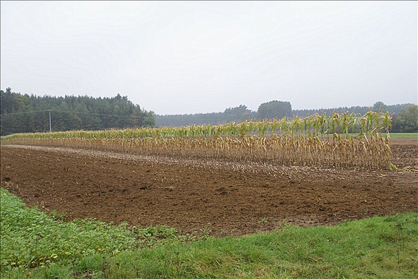 Foto:: Reisen / Oesterreich + Bayern / Herbst 2007 (Foto,Fotos,Bilder,Bild,)