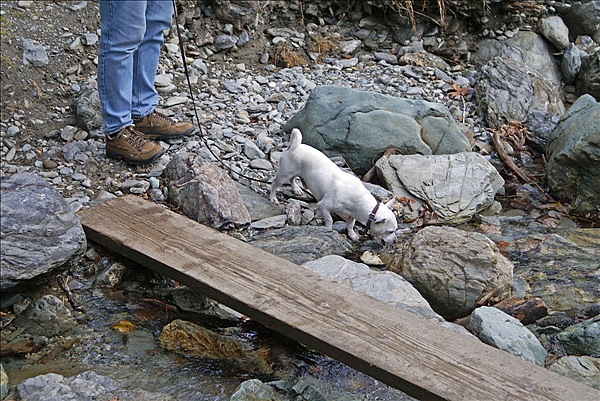 Foto:: Reisen / Oesterreich + Bayern / Herbst 2007 (Foto,Fotos,Bilder,Bild,)