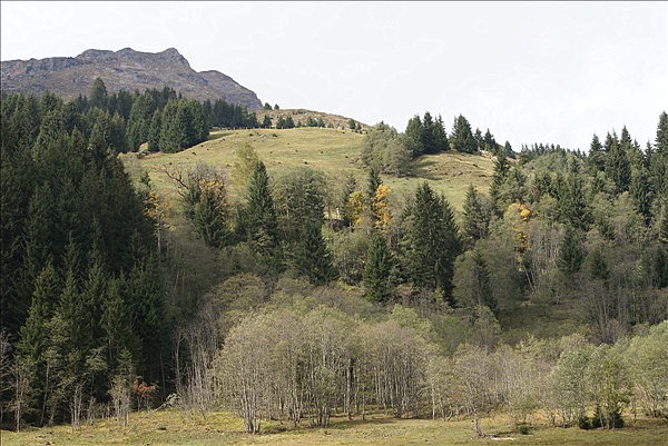Foto:: Reisen / Oesterreich + Bayern / Herbst 2007 (Foto,Fotos,Bilder,Bild,)