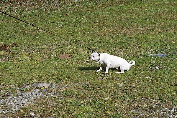 Foto:: Reisen / Oesterreich + Bayern / Herbst 2007 (Foto,Fotos,Bilder,Bild,)
