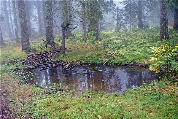 Foto:: Reisen / Oesterreich + Bayern / Herbst 2007 (Foto,Fotos,Bilder,Bild,)