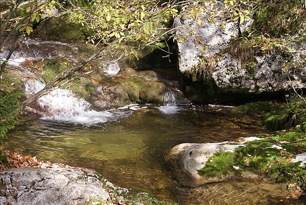 Foto:: Reisen / Oesterreich + Bayern / Herbst 2007 (Foto,Fotos,Bilder,Bild,)