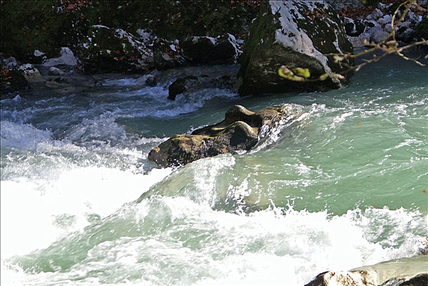 Foto:: Reisen / Oesterreich + Bayern / Herbst 2007 (Foto,Fotos,Bilder,Bild,)