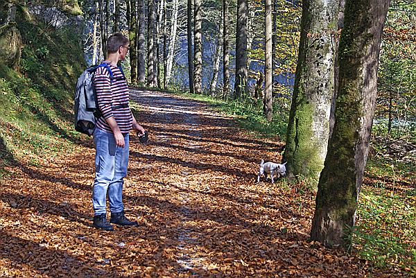 Foto:: Reisen / Oesterreich + Bayern / Herbst 2007 (Foto,Fotos,Bilder,Bild,)