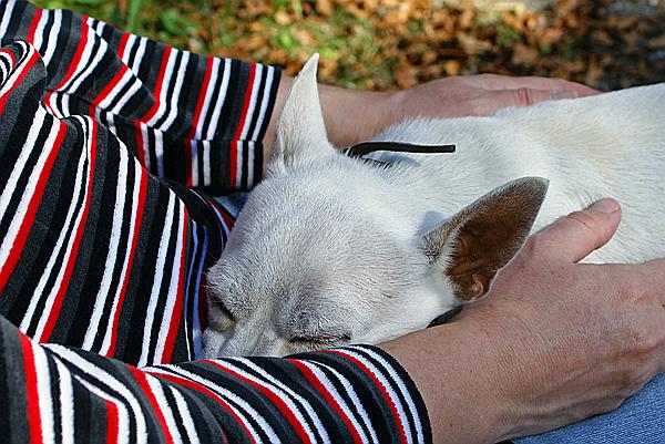 Foto:: Reisen / Oesterreich + Bayern / Herbst 2007 (Foto,Fotos,Bilder,Bild,)