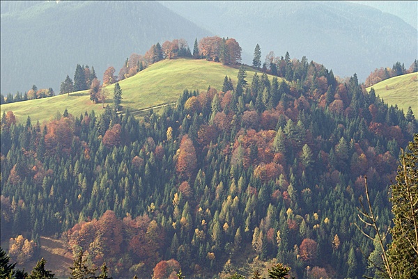 Foto:: Reisen / Oesterreich + Bayern / Herbst 2007 (Foto,Fotos,Bilder,Bild,)