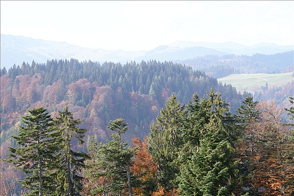 Foto:: Reisen / Oesterreich + Bayern / Herbst 2007 (Foto,Fotos,Bilder,Bild,)