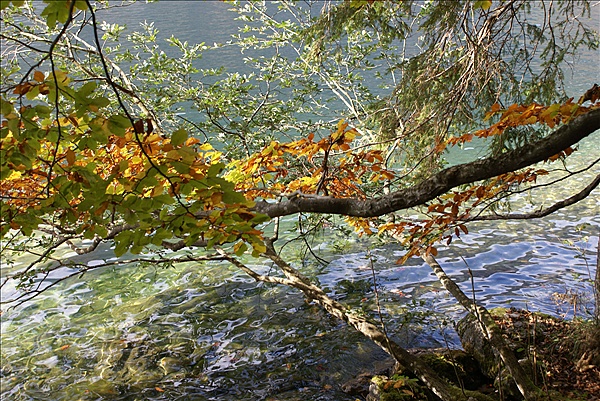 Foto:: Reisen / Oesterreich + Bayern / Herbst 2007 (Foto,Fotos,Bilder,Bild,)