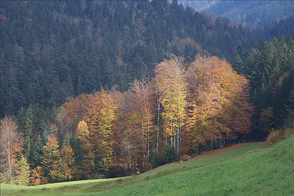 Foto:: Reisen / Oesterreich + Bayern / Herbst 2007 (Foto,Fotos,Bilder,Bild,)
