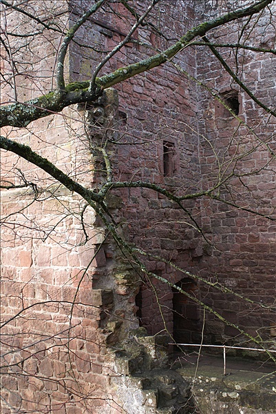 Foto:: 08.12.2007 + 09.12.2007 Pfalz / Palatinate + Wissembourg / Weissenburg (Foto,Fotos,Bilder,Bild,)