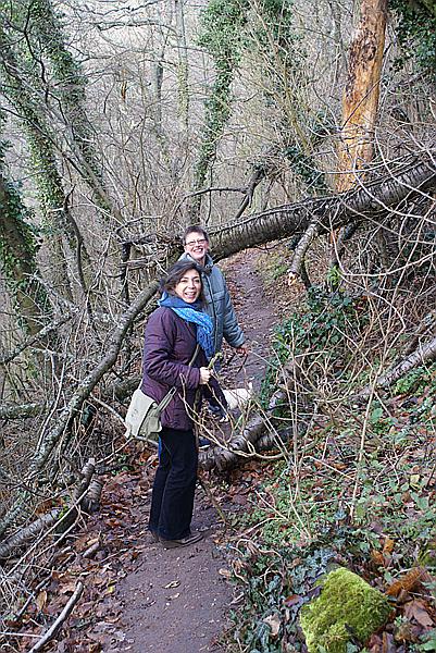 Foto:: 08.12.2007 + 09.12.2007 Pfalz / Palatinate + Wissembourg / Weissenburg (Foto,Fotos,Bilder,Bild,)