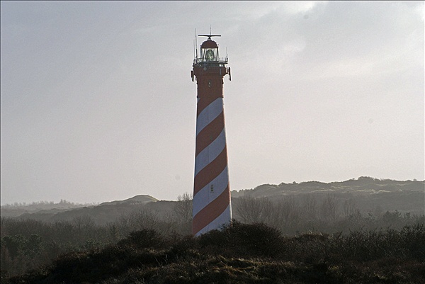 Foto:: Nieuw Haamstede / 30.12.2007 (Foto,Fotos,Bilder,Bild,)