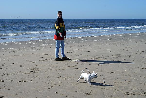 Foto:: Wijk aan Zee / 02.05.2008 (Foto,Fotos,Bilder,Bild,)