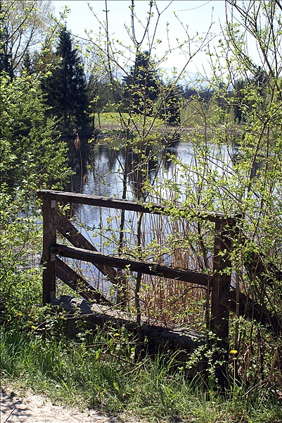 Foto:: Fruehlingsurlaub Kaernten 2008 / Spring vacation Carinthia 2008 (Foto,Fotos,Bilder,Bild,)